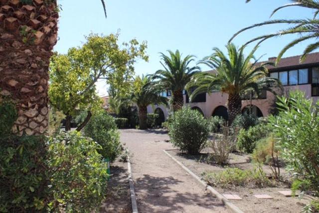 Appartement Saint Cyprien Plage 6 Couchages Eksteriør billede