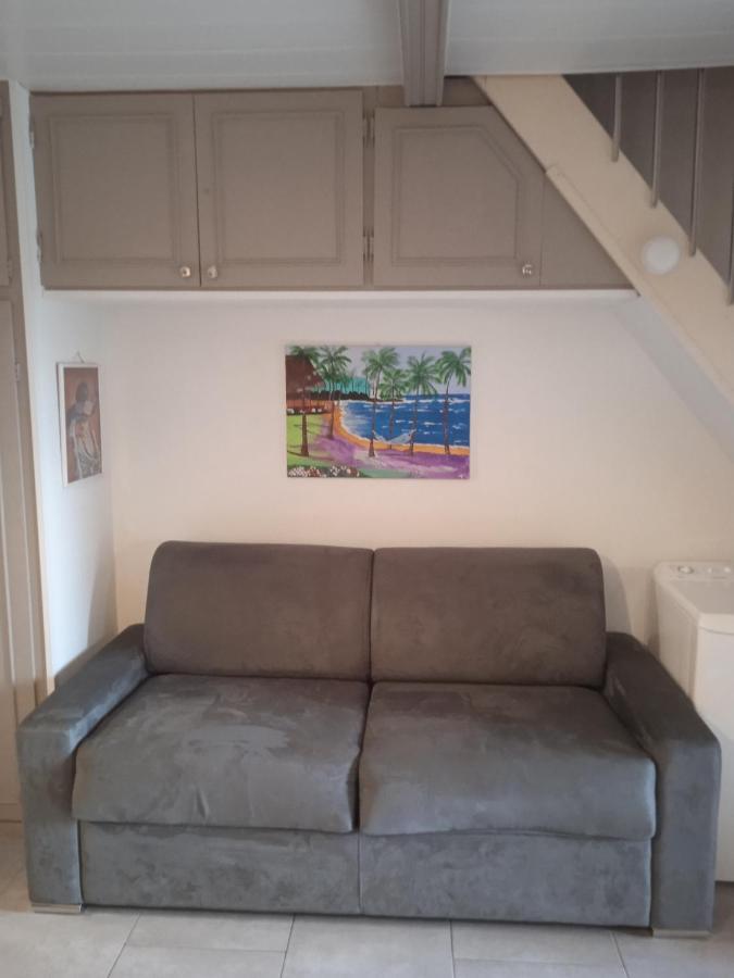 Appartement Saint Cyprien Plage 6 Couchages Eksteriør billede